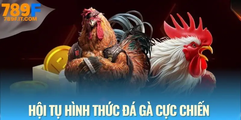 Đá Gà 789F - Sân Chơi Cá Cược Đỉnh Cao Dành Cho Kê Thủ Tham khảo các hình thức đá gà được yêu thích nhất